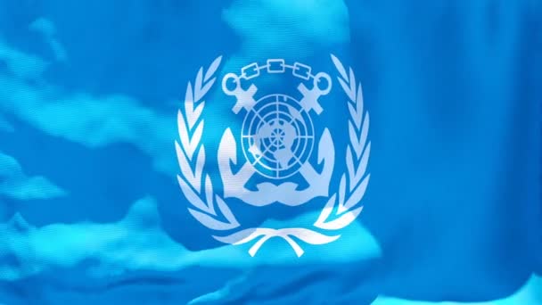 IMO Internationale Maritieme Organisatie vlag wappert in de wind — Stockvideo