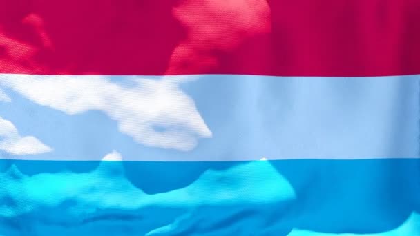 Le drapeau national du Luxembourg flotte dans le vent — Video