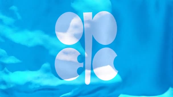 Flaga OPEC trzepocze na wietrze — Wideo stockowe