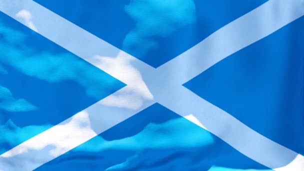 De nationale vlag van Schotland wappert in de wind — Stockvideo