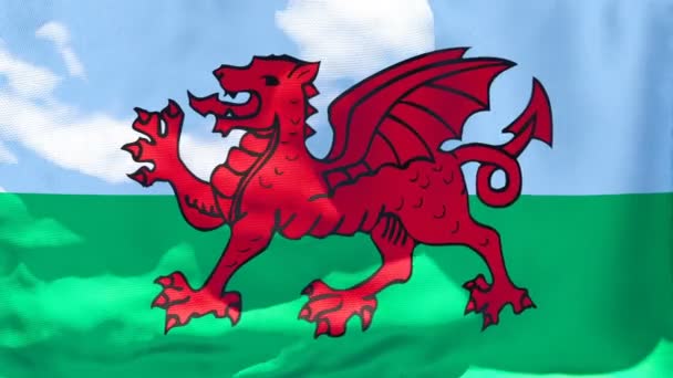 Národní vlajka Walesu vlaje ve větru — Stock video