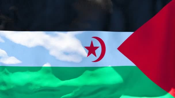 Le drapeau national des Arabes sahraouis flotte dans le vent — Video