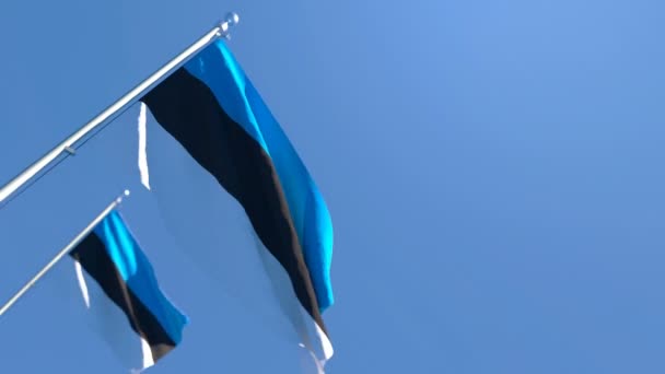 La bandera nacional de Estonia ondea en el viento contra el cielo — Vídeo de stock