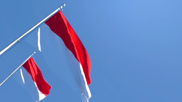 La bandera nacional de Indonesia ondea en el viento contra un cielo azul — Vídeos de Stock