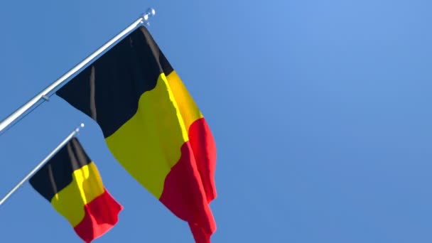 La bandera nacional de Bélgica ondea en el viento contra un cielo azul — Vídeo de stock