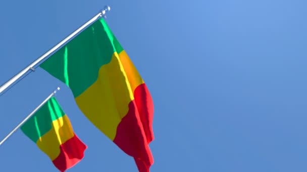 De nationale vlag van Mali wappert in de wind tegen de lucht — Stockvideo