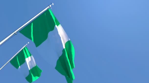 Nigerias flagga flyger i vinden mot en blå himmel. — Stockvideo