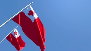 Tonga 'nın ulusal bayrağı mavi gökyüzüne karşı rüzgarda dalgalanıyor.