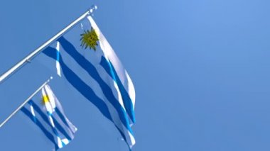 Uruguay 'ın ulusal bayrağı mavi gökyüzüne karşı rüzgarda dalgalanıyor