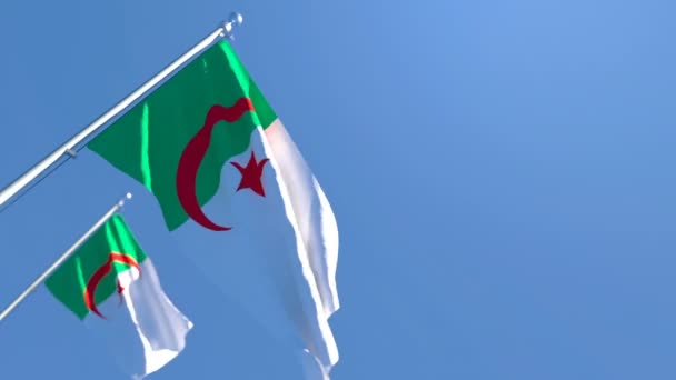 Algeriets flagga flyger i vinden mot en blå himmel. — Stockvideo