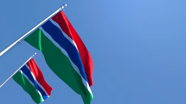 De vlag van Gambia wappert in de wind tegen een blauwe lucht. — Stockvideo