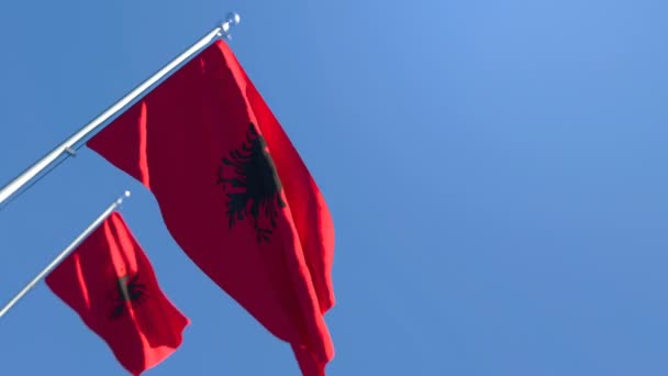 Η εθνική σημαία της Αλβανίας κυματίζει στον άνεμο ενάντια στον γαλάζιο ουρανό — Αρχείο Βίντεο