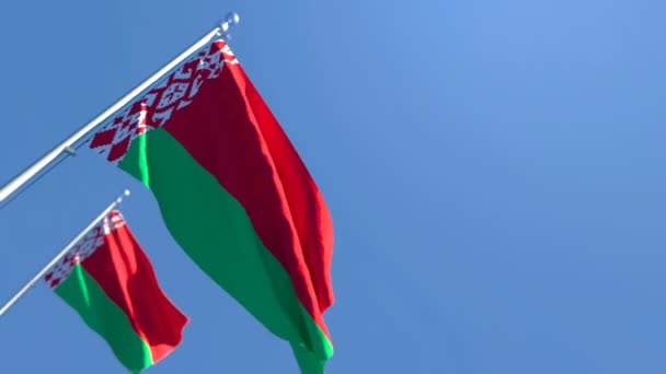 The national flag of Belarus is flying in the wind against a blue sky — Stock Video