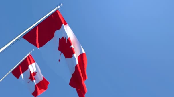 A bandeira nacional do Canadá está voando no vento contra um céu azul — Vídeo de Stock