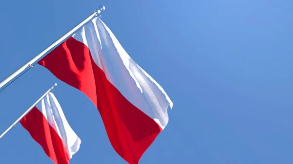 Polonya bayrağının rüzgarda dalgalanan 3D görüntüsü — Stok fotoğraf
