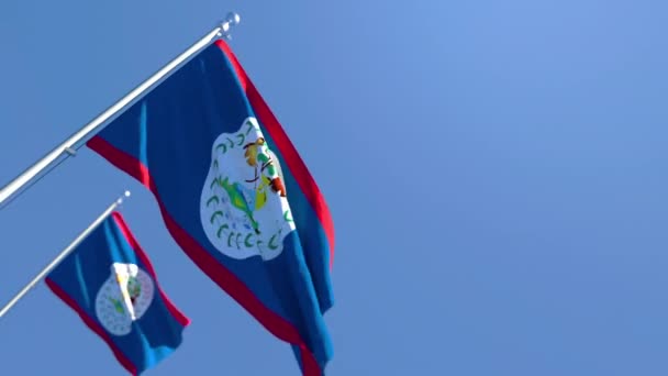 Belize bayrağı mavi gökyüzüne karşı rüzgarda dalgalanıyor. — Stok video