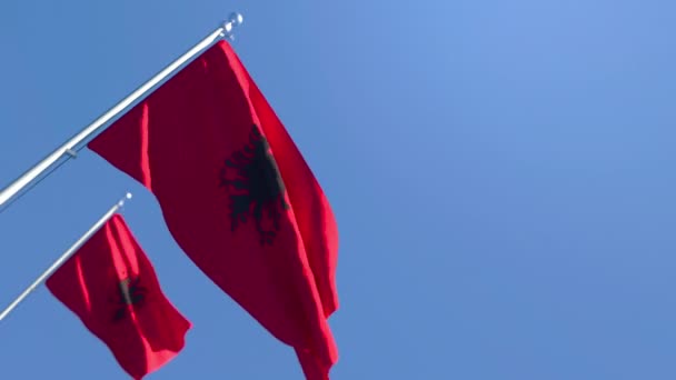 アルバニアの国旗が青い空に向かって風に乗って飛んでいます — ストック動画