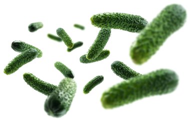 Beyaz arka planda yeşil salatalıklar uçar.