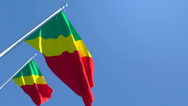 La bandera nacional del Congo ondea con el viento — Vídeos de Stock