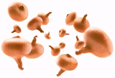 Olgun altın soğan beyaz arka planda uçar.