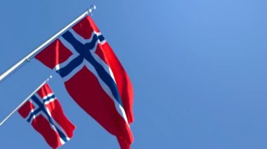 Norveç 'in ulusal bayrağı rüzgarda dalgalanıyor