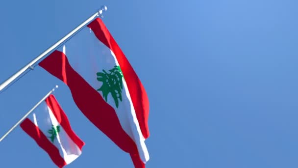 黎巴嫩国旗在风中飘扬 — 图库视频影像