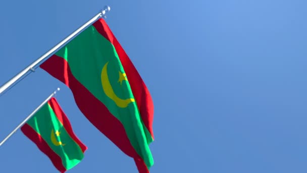 La bandera nacional de Mauritania ondea al viento — Vídeos de Stock