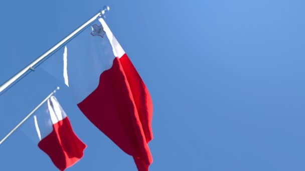 De nationale vlag van Malta wappert in de wind — Stockvideo