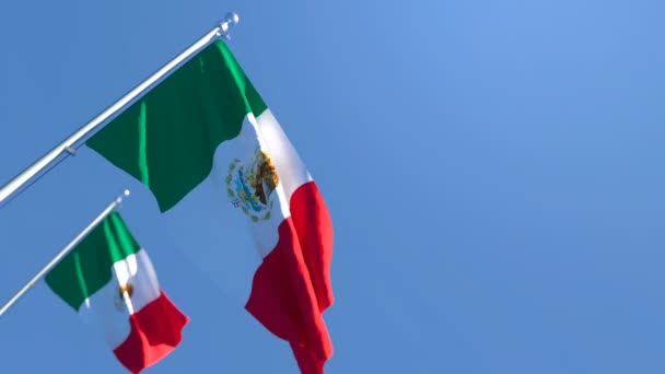 Mexikos flagga fladdrar i vinden — Stockvideo