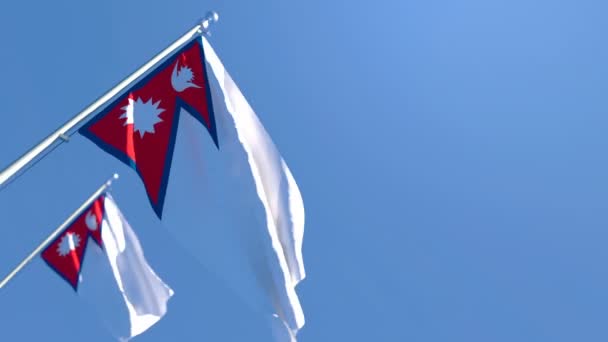 La bandera nacional de Nepal ondea al viento — Vídeos de Stock