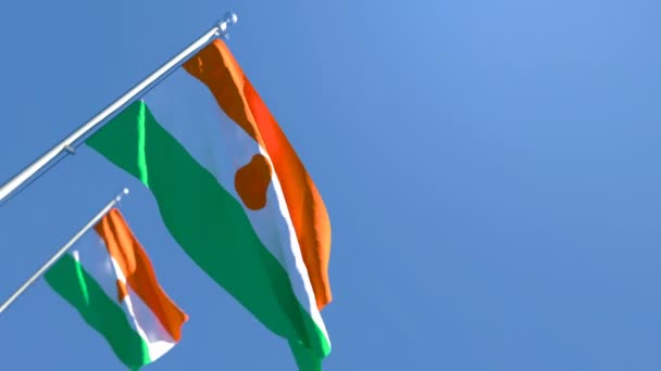 La bandera nacional de Níger ondea al viento — Vídeos de Stock