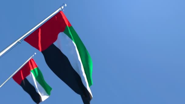 風にアラブ首長国連邦の国旗がなびく — ストック動画