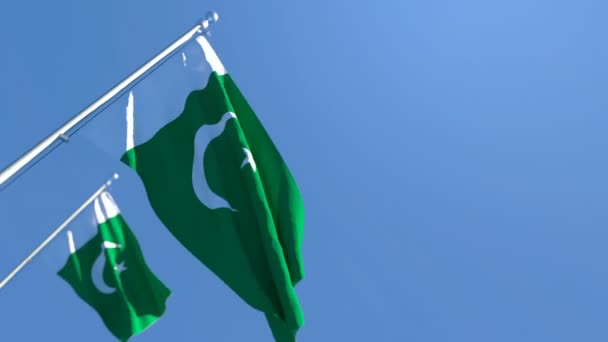 Pakistans Nationalflagge flattert im Wind — Stockvideo