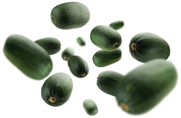 Green zucchini levitate on a white background — Stock Photo, Image