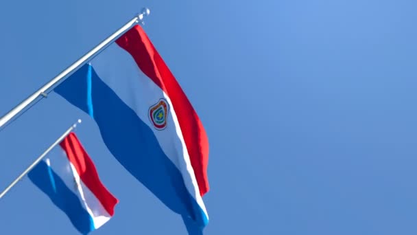 De nationale vlag van Paraguay wappert in de wind — Stockvideo