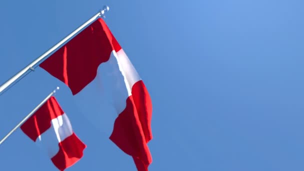 Národní vlajka Peru vlaje ve větru — Stock video