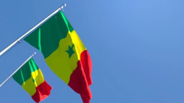 Senegal 'in ulusal bayrağı rüzgarda dalgalanıyor