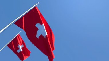 İsviçre 'nin ulusal bayrağı rüzgarda dalgalanıyor