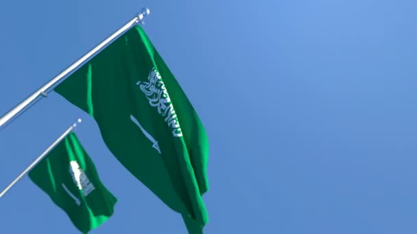 La bandera nacional de Arabia Saudita ondea al viento — Vídeos de Stock