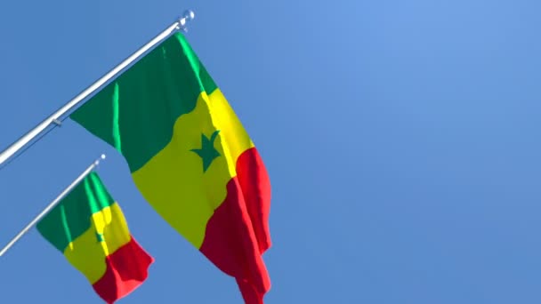 塞内加尔的国旗在风中飘扬 — 图库视频影像