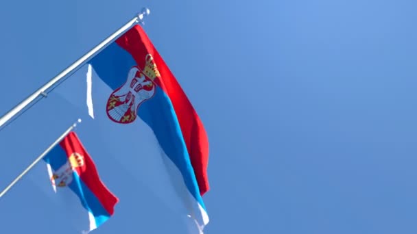 Bendera nasional Serbia berkibar-kibar dalam angin — Stok Video