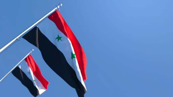 Η εθνική σημαία της Συρίας κυματίζει στον άνεμο — Αρχείο Βίντεο