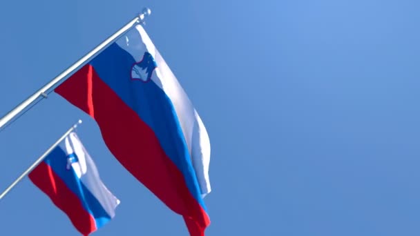 Bendera nasional Slovenia berkibar-kibar dalam angin — Stok Video