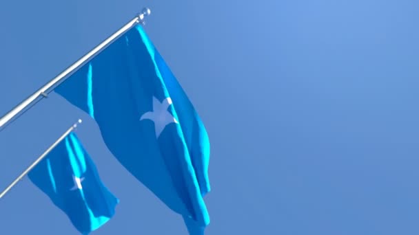 Державний прапор Сомалі пурхає з вітром. — стокове відео