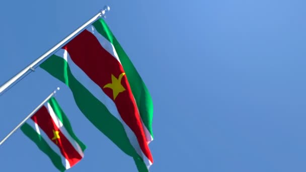 Le drapeau national du Suriname flotte dans le vent — Video