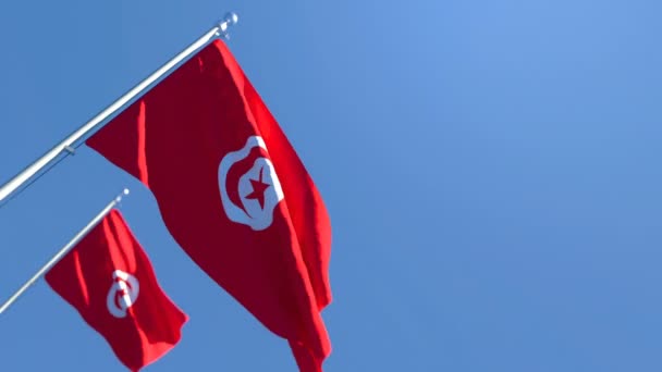 The national flag of Tunisia flutters in the wind — Stock Video