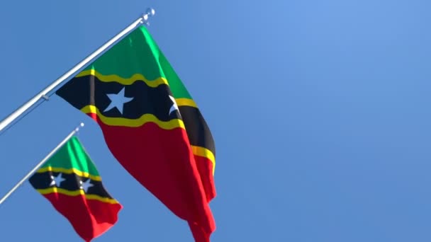 La bandera nacional de San Cristóbal y Nieves ondea al viento — Vídeo de stock