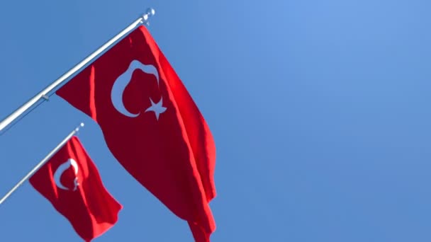 Bandeira nacional de vigias turcas ao vento — Vídeo de Stock
