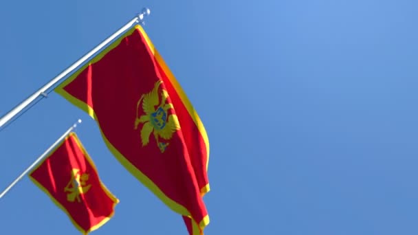 A bandeira nacional de Montenegro agita-se ao vento — Vídeo de Stock
