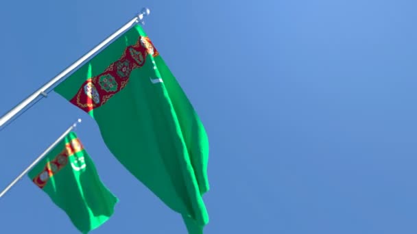 The national flag of Turkmenistan flutters in the wind — Stock Video